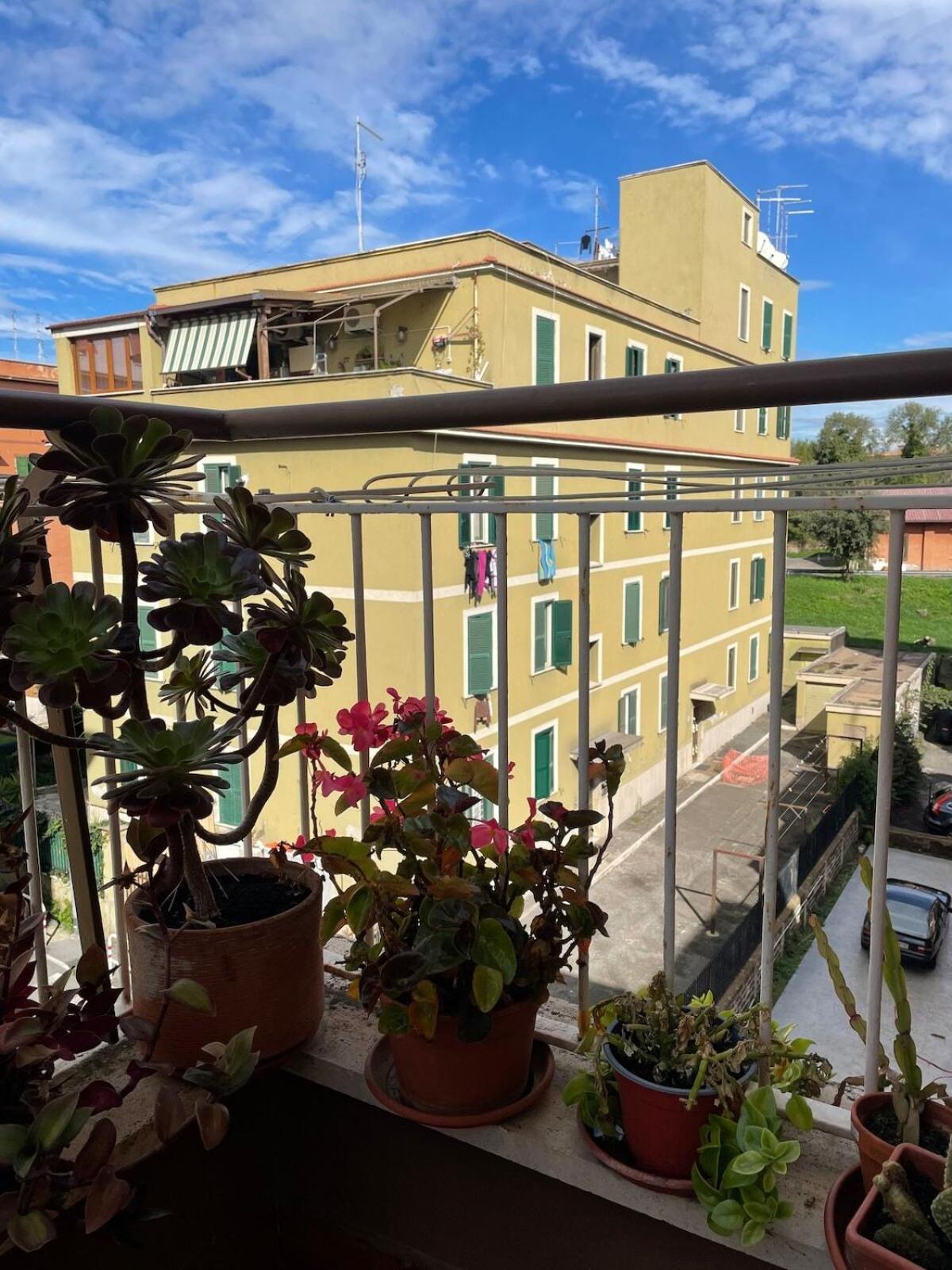 Fabio's House